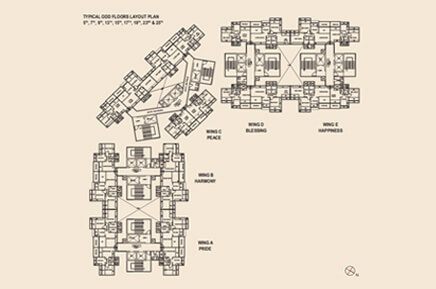 Typical Odd Floors Layout Plan 